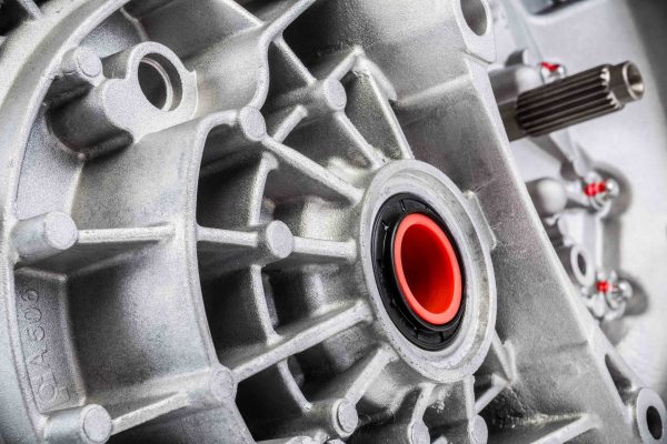 Fotografia coppa, produzione servizi fotografici di Soundless Studio.